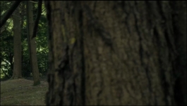 Outlander - Season 08 Episode 02